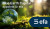 2024_News_BlueEarth